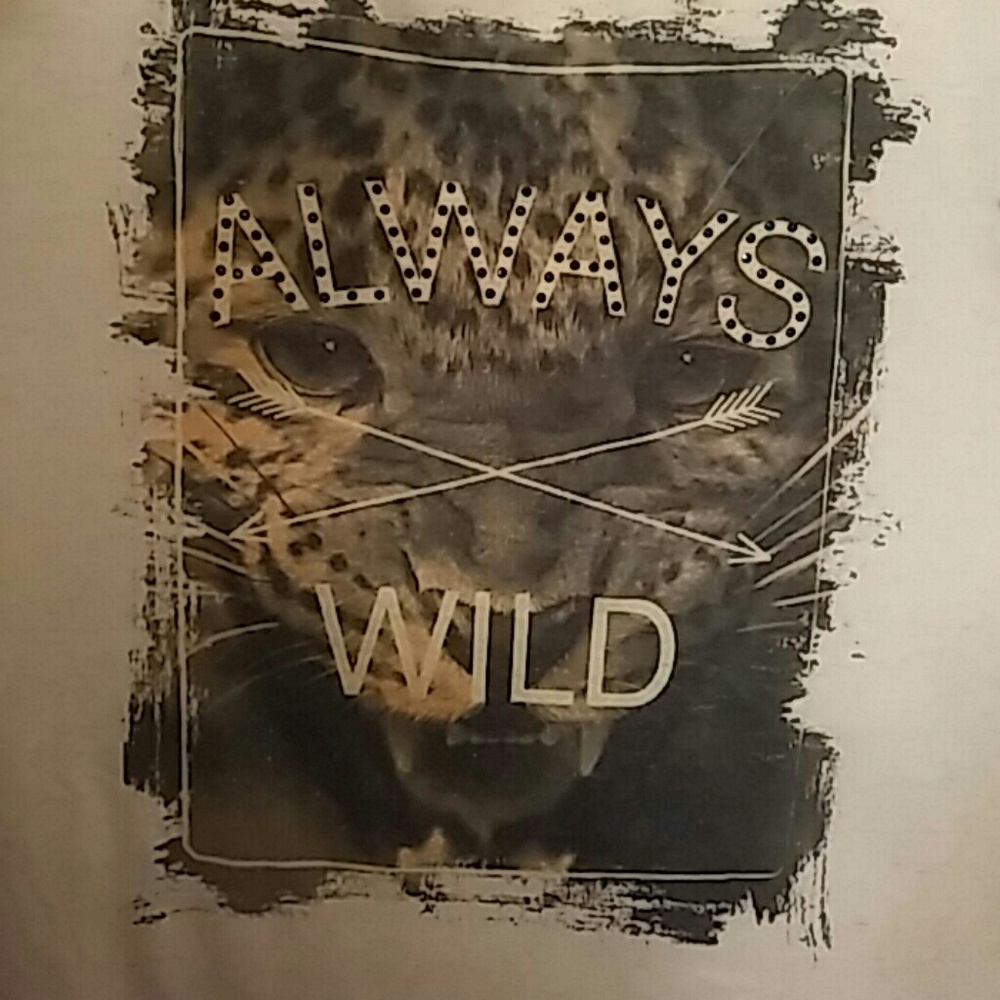 Shirt - Picture 2 of 2